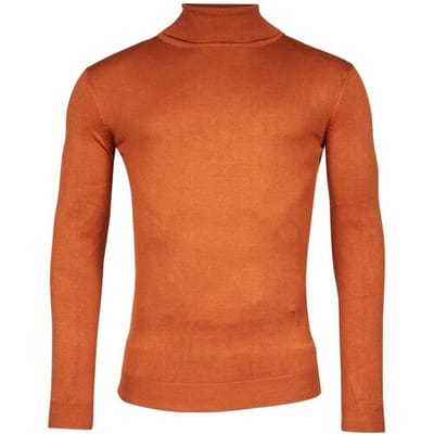 Baileys Trui Rollneck Single Knit Donker Goud / male