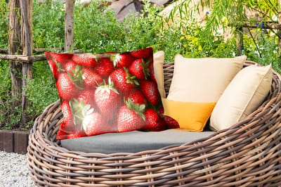 Buitenkussens - Aardbei - Fruit - Rood - 60x40 cm - Weerbestendig