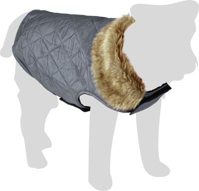 Flamingo Winterjas Elia Grijs - Hondenkleding - 30 cm