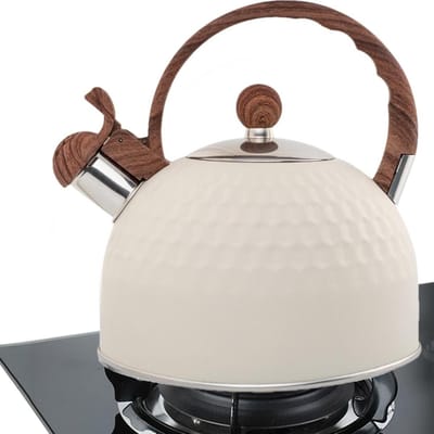 Theeketel Roestvrij Staal - Waterkoker Fornuis - Thee Zetten - Luid Kookalarm - 25 Liter - Beige
