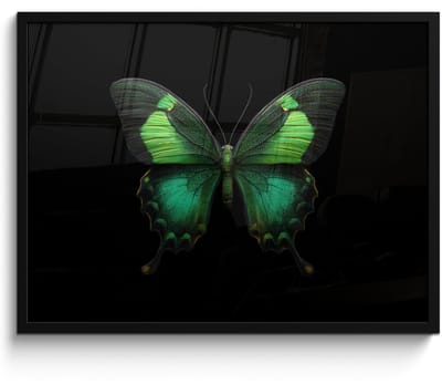 Poster in lijst - Fotolijst 70x50 cm - Posters - Vlinder - Groen - Opvallend - Posterlijst zwart - Decoratie - Wanddecoratie woonkamer - Muurdecoratie slaapkamer