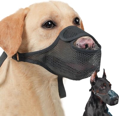 Honden Muilkorf - Anti-Blaf Mondbeschermer - Veilig Wandelen - Ademend Gaas Materiaal - Maat XL - Zwart