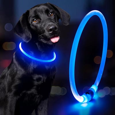 Professor Q LED Honden- en Kattenband - Small 35 cm - Blauw - USB Oplaadbare Veiligheidsband - Verstelbaar en Afsnijdbaar, 3 Lichtstanden - Voor Nachtelijke Wandelingen - Licht Halsband - 1 stuk