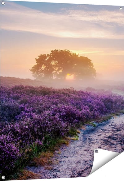 Gards Tuinposter Pad in de Weide van de Veluwe - 80x100 cm - Tuindoek - Tuindecoratie - Wanddecoratie buiten - Tuinschilderij