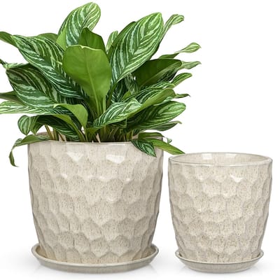 Bloempotset, 15 + 19 cm diameter, keramische pot met onderzetter en drainagegaten, crèmewit, plantenbak voor binnen en buiten, pot voor planten, bloemen, modern, klassiek, elegante decoratieve