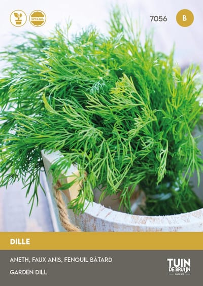 Dille Heksenkruid Zaden – Aromatisch Keukenkruid – Geschikt voor Potten – ±630 Zaden – Voor Tuin, Balkon & Keuken – Tuin de Bruijn