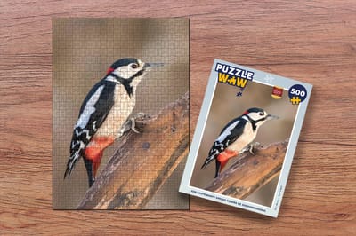 Puzzel Een grote bonte specht tijdens de zonsondergang - Legpuzzel - Puzzel 500 stukjes