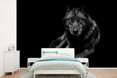 Behang - Fotobehang Dieren - Wolf - Zwart - Wit - Portret - Breedte 360 cm x hoogte 240 cm