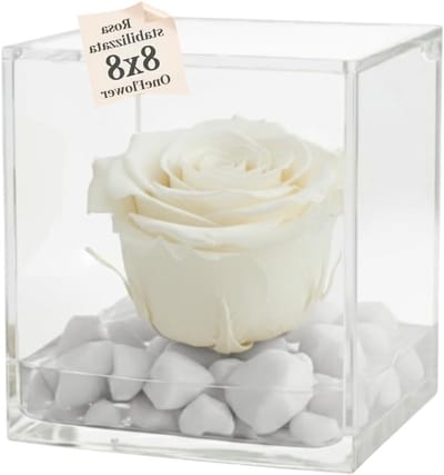 Geurende Rozen Cube - Eeuwige Bloem - Cadeau Geven - Echte Gestabiliseerde Roos - 8 cm - Roze