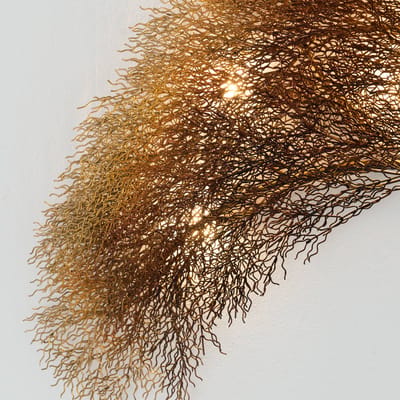 Holländer Wandlamp Acacia in boomdesign, dimbaar