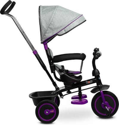 Caretero Toyz Buzz Driewieler Paars - Driewieler met Duwstang - Verstelbare Voetsteun - Zonnekap - Mand voor Speelgoed - Driewieler Peuter