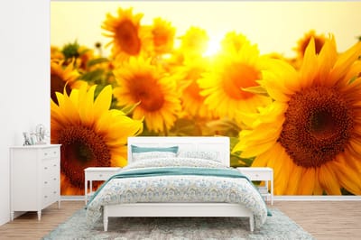 Behang - Fotobehang Zonnebloem - Geel - Bloemen - Zon - Breedte 295 cm x hoogte 220 cm