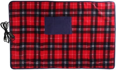 Elektrische Deken - Verwarmde Reisdeken - Auto Reizen - USB Aangedreven - 88x65 cm - Plaid