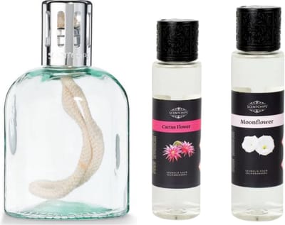Scentchips Flowers Set - Geurolie Voor Oliebrander - Parfum Olie - Geurolie Voor Lampenolie - Geurlamp Olie - Oliebrander, Cactus Flower 200ml, Moon Flower 200ml