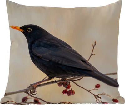Tuinkussen - Merel - Vogel - Takken - Bes - Rood - 40x40 cm - Weerbestendig