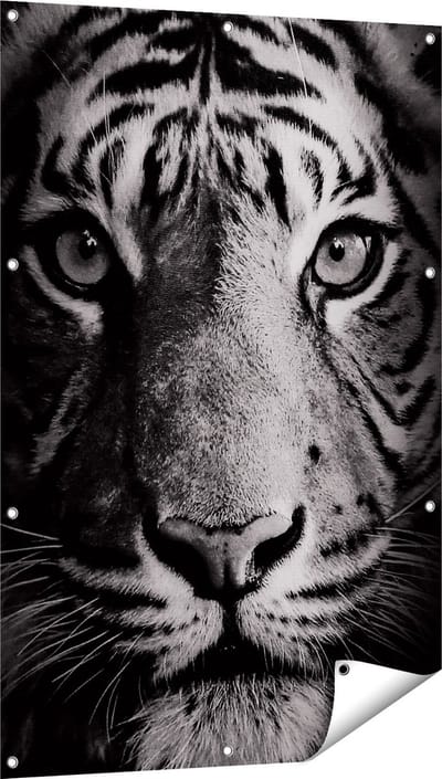 Gards Tuinposter Tijgerkop - Tijger - Zwart Wit - 80x120 cm - Tuindoek - Tuindecoratie - Wanddecoratie buiten - Tuinschilderij