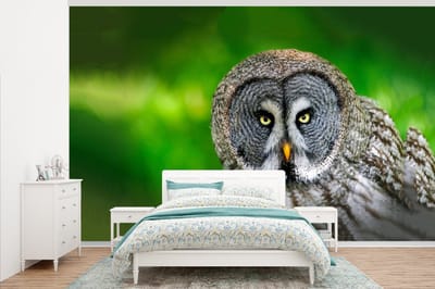 Behang - Fotobehang Vogel - Uil - Dieren - Bruin - Portret - Breedte 405 cm x hoogte 260 cm
