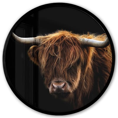Poster in lijst Rond - Fotolijst 40x40 cm - Posters - Schotse Hooglander - Horens - Zwart - Dieren - Natuur - Wild - Koe - Ronde posterlijst zwart - Decoratie - Wanddecoratie woonkamer - Muurdecoratie slaapkamer
