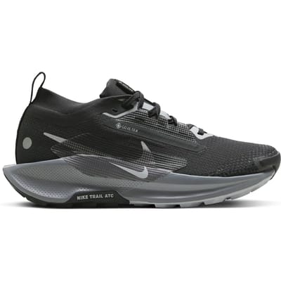 Damesschoenen Nike Pegasus 5 Gore-tex