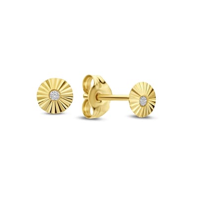 New Bling 9NBG-1072 – Gouden Oorbellen Dames – Oorknopjes Bloem – Zirkonia – 14K Goud – 4 mm – Cadeau voor Vrouwen