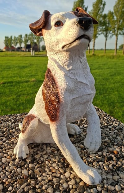 Jack Russell Beeld Zwart/Wit met Pootje Omhoog – 34 cm Lang – Polystone Hond – Tuinbeeld & WoondecoratieJ
