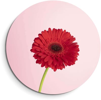 KitchenArt - Rode Gerbera – Muurcirkel Binnen - ø 40 cm - Wandcirkel - Mét Ophangsysteem - Wanddecoratie - Muurdecoratie