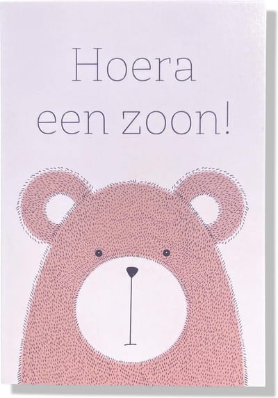 Een Zoon! - Luxe Geboortekaartje Jongen - 12x17cm - Gevouwen wenskaart met envelop
