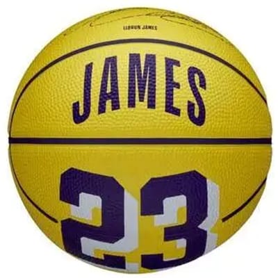 Sportsbal Mini Wilson NBA Player Icon - Lebron