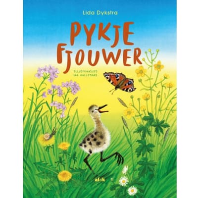 Pykje Fjouwer - Lida Dykstra
