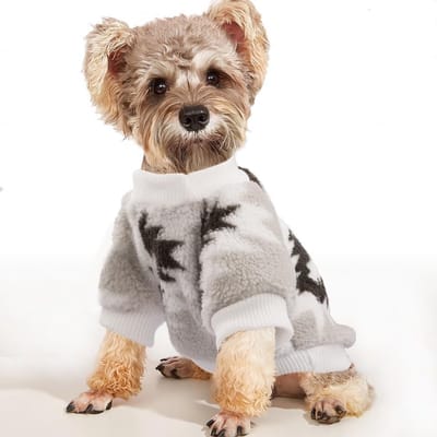 Hondentrui voor kleine honden, fleece hondenkleding, etnische stijl, ultra zachte thermische wintertrui voor puppy's (Wit, M)