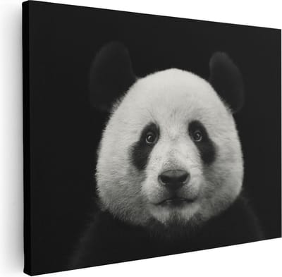 Artaza Canvas Schilderij Dierenkop Panda - 40x30 cm - Klein - Muurdecoratie Woonkamer - Wanddecoratie Dierenhoofd - Kamer Accessoires