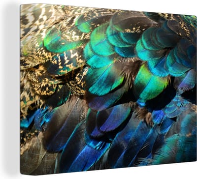 Canvas Schilderij Veren - Pauwveren - Pauw - Blauw - Kunst - 40x30 cm - Wanddecoratie