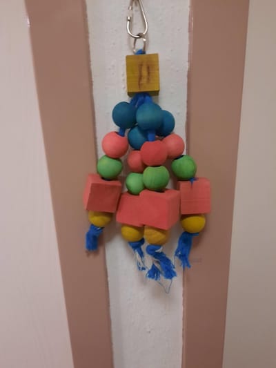 Geotoy