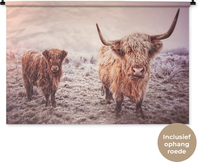 Wandkleed Schotse hooglander - Portret van twee Schotse hooglanders Wandkleed katoen 120x80 cm - Wandtapijt met foto