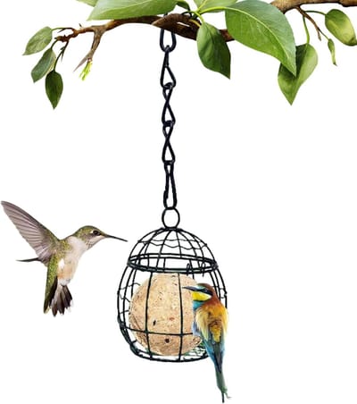 Vetbaldispenser Vogels - Voederbak Buiten - Vogels Voeren - Eekhoornbestendig Ontwerp - 12 x 8 x 8 cm - Uniek