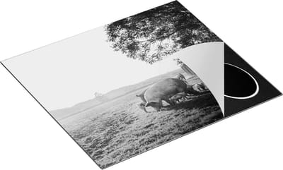 Chefcare Inductie Beschermer Varken Familie - Varkens - Zwart Wit - 60x50 cm - Afdekplaat Inductie - Kookplaat Beschermer - Inductie Mat