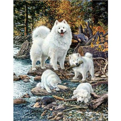 DIY 5d Diamond schilderij Cross Stitch hond Home Decor volledige ronde diamant borduurwerk 20X30CM gray