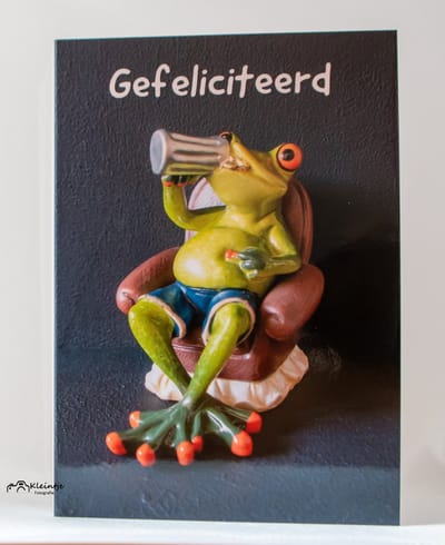 Verjaardag wenskaart – Kikker man met drankje in stoel | Kleintje Fotografie