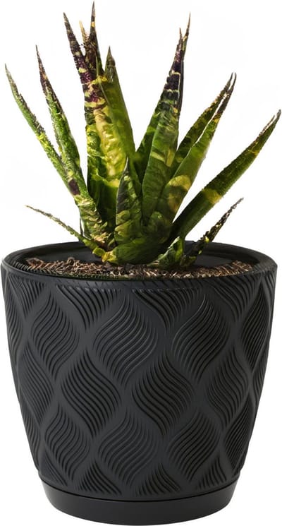Form Plastic Plantenpot/bloempot New Age - kunststof - zwart - D15 x H14 cm - met opvang schotel - rond