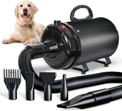 Hond Föhn 3000W - Geluidsarme Dierenföhn met Temperatuurregeling en 4 Nozzles