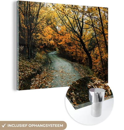 MuchoWow® Glasschilderij 40x30 cm - Schilderij acrylglas - Bladeren - Herfst - Bos - Foto op glas - Schilderijen