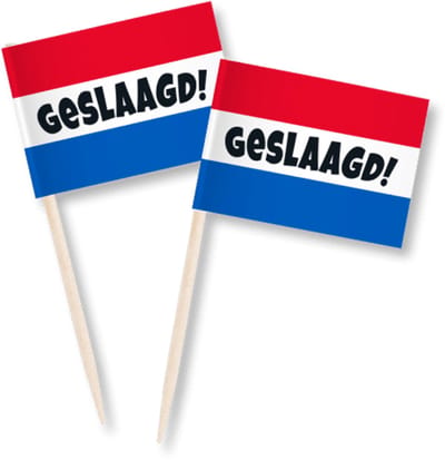 Paperdreams - Cocktail prikkers - Geslaagd rwb