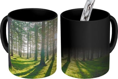 Magische Mok - Foto op Warmte Mokken - Koffiemok - Bomen - Natuur - Bos - Magic Mok - Beker - 350 ML - Theemok