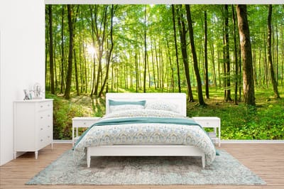 Behang - Fotobehang Natuur - Bomen - Bos - Groen - Zonlicht - Breedte 430 cm x hoogte 240 cm