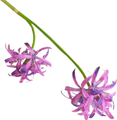 Steelbloem - kunstbloem lelie 2 bloemig 34 cm paars-roze
