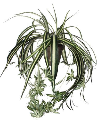 Mica Decorations - Chlorophytum Kunstplant in Bloempot Stan - H45 x Ø45 cm - Groen