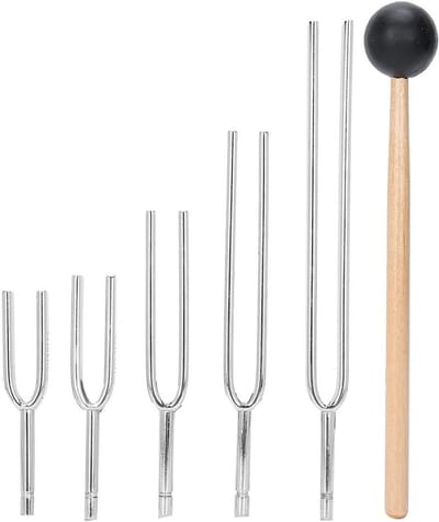 Complete Set van 5 Stemvorken met 128Hz, 256Hz, 512Hz, 1024Hz en 2048Hz voor Muzikanten, Leraren en Wetenschappers met Opbergtas en Hamer