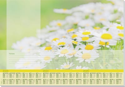 Sigel designonderlegger - papier - Lovely Daisies - A2 - jaren 2023/2024/2025 - SI-HO307