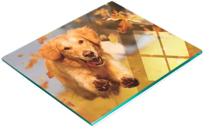 Decoratieve glazen snackplank met afbeelding van een Golden Retriever, 60x52 cm