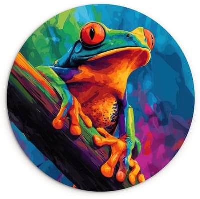 WallCircle® Wandcirkel 120x120 cm - Muurcirkel Kikker - Felgekleurd - Tak - Regenboog - Muurdecoratie woonkamer - Wanddecoratie slaapkamer - Kamer decoratie accessoires - Ronde schilderijen XXL